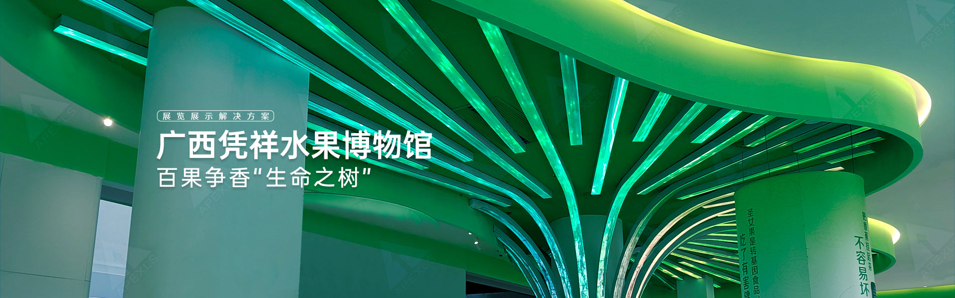 丘成桐國際會議中心P4戶內生命樹屏